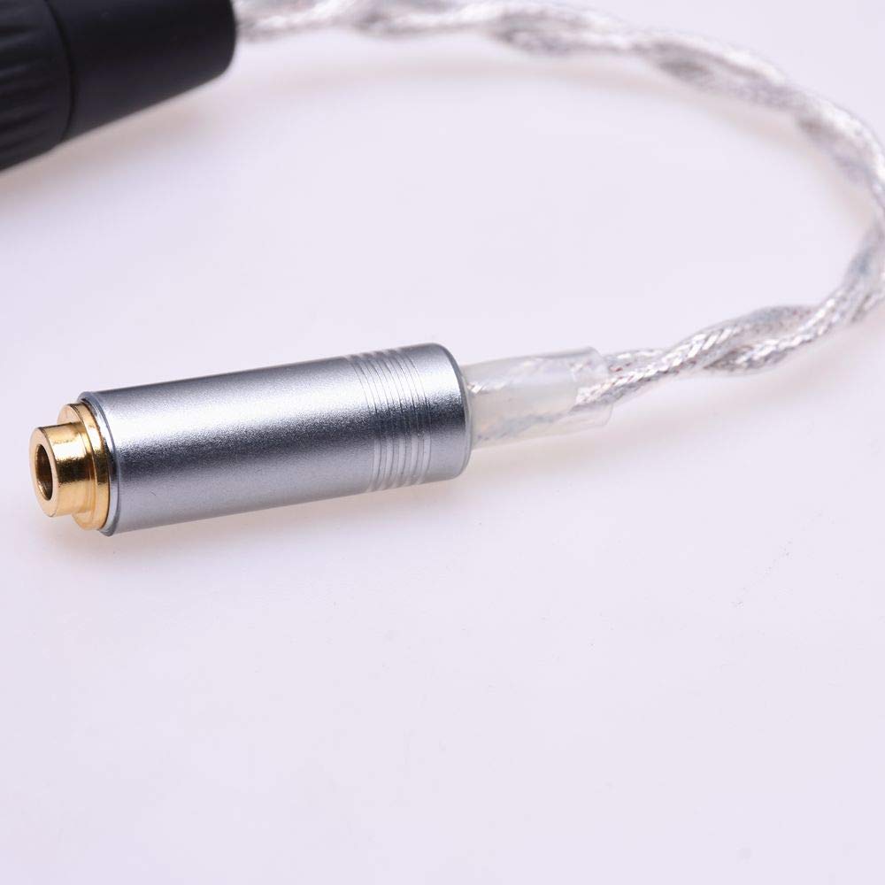 GAGACOCC 10CM 1/4 6.35MM Male to 4.4MM Female Balanced Audio Adapter Crystal Clear Silver Plated Shield for Sony NW-WM1Z 1A MDR-Z1R TA-ZH1ES PHA-2 Upgrade Extension Cable