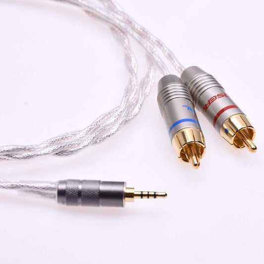 GAGACOCC 2.5mm TRRS Male to 2 RCA Male Balanced Audio Adapter Upgrade Cable for Astell&Kern SP1000 AK100II AK120II AK240 AK380 AK320 DP-X1 onkyo DP-X1A FIIO X5
